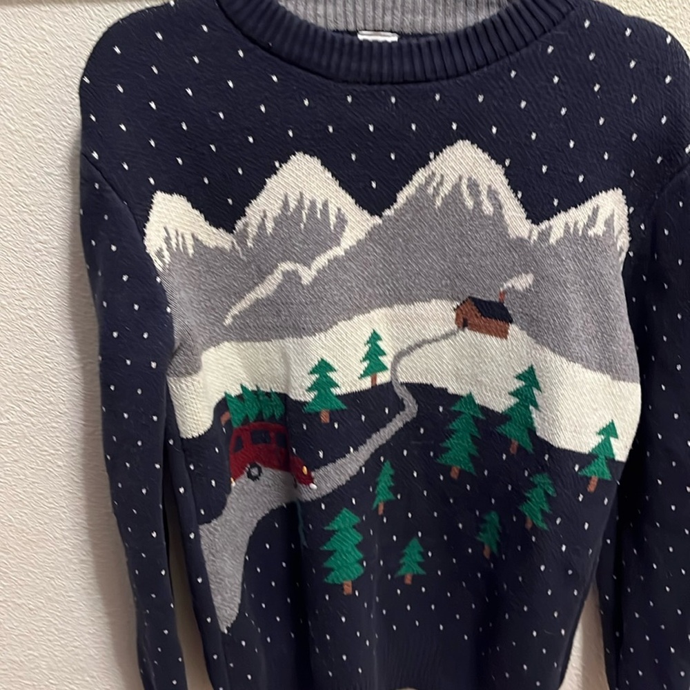 Hanna Andersson Navy Sweater with Mountain Scene